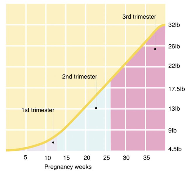 Weight Gain By Trimester Chart